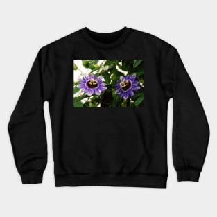 Purple Haze Passifloras Crewneck Sweatshirt